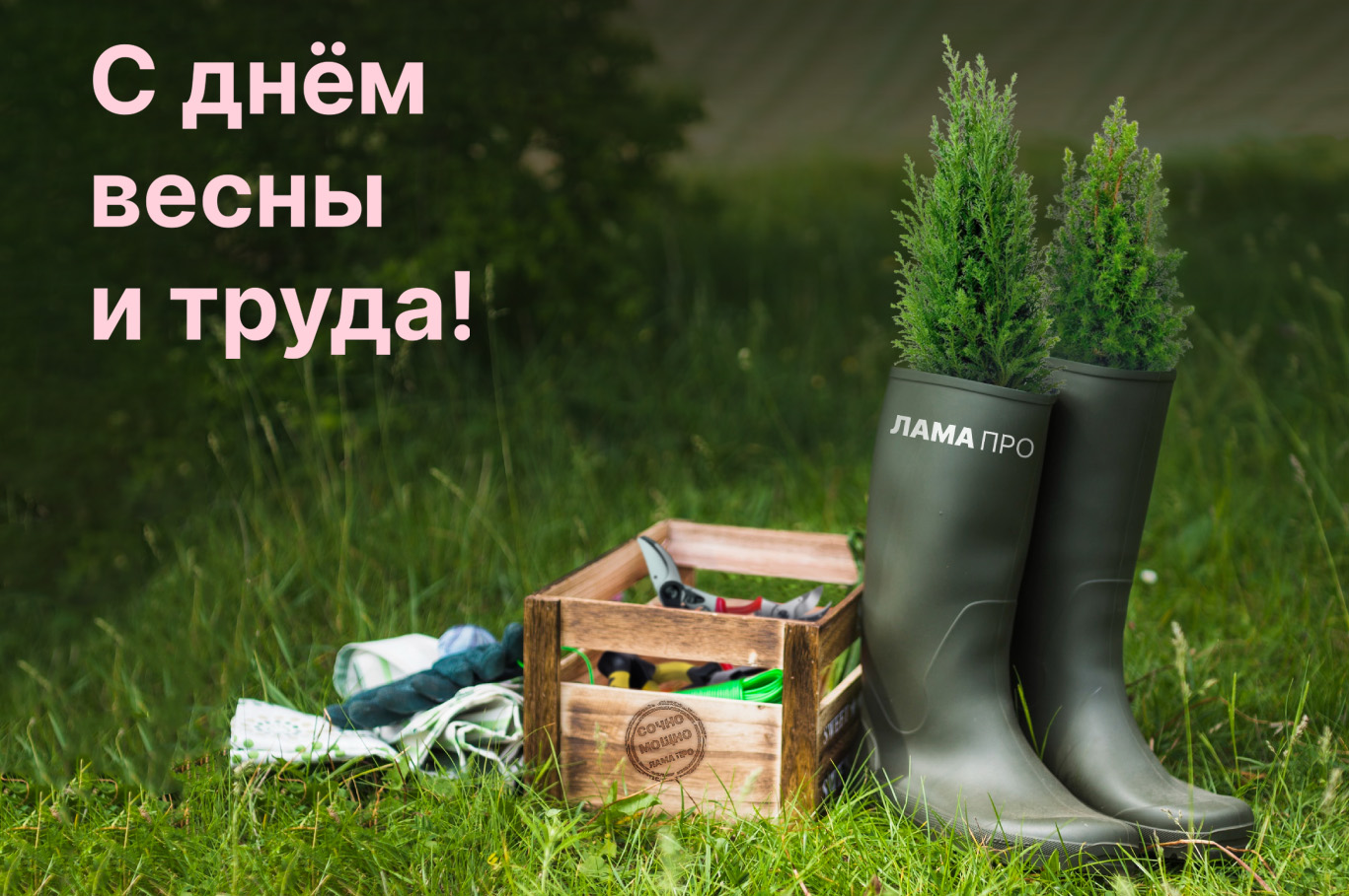 С днём весны и труда! 